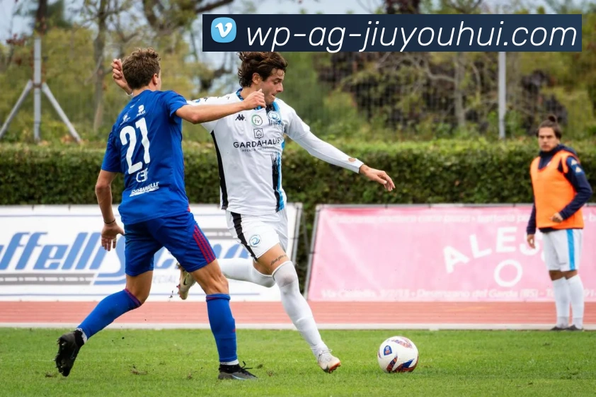 多媒体互动体验